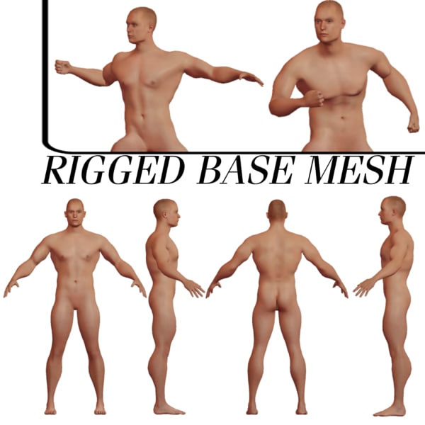 筋肉の白人男性ベースメッシュ Rigged Textured 3dモデル Turbosquid