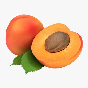 3D realistic apricot 02 color