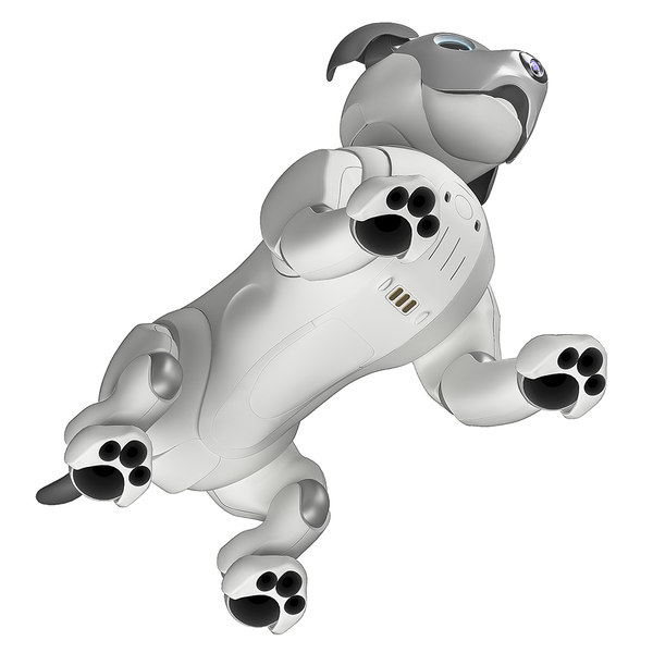 ers 1000 aibo