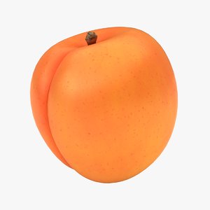 realistic apricot 03 3D model
