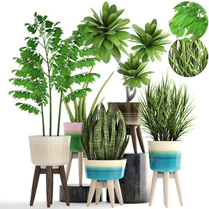 plants pots 3D model