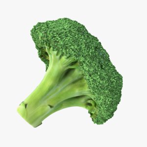 3D broccoli pbr model