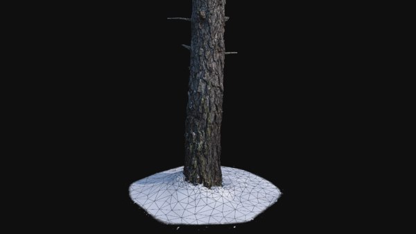 trunk scanned 3D model