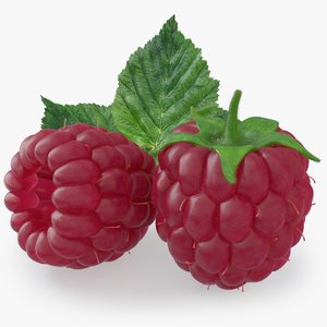 raspberry fruit 3D model