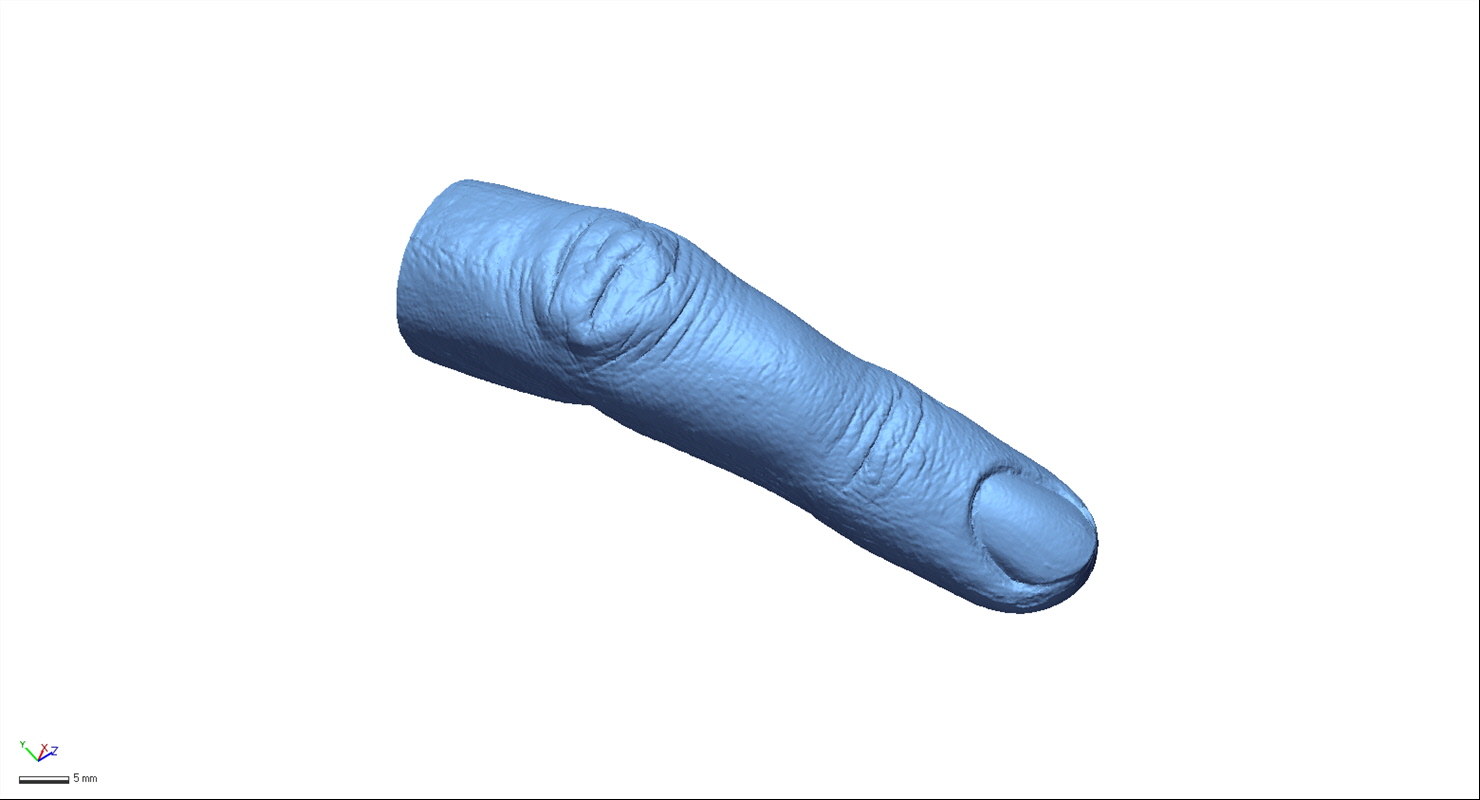 modelo 3d Dedo - TurboSquid 1262090