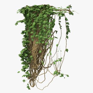 3D ivy pbr branches model