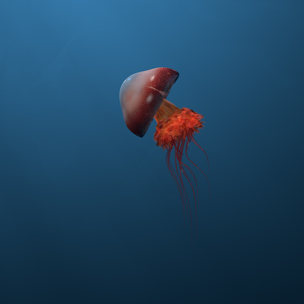 水母动物模型3d模型