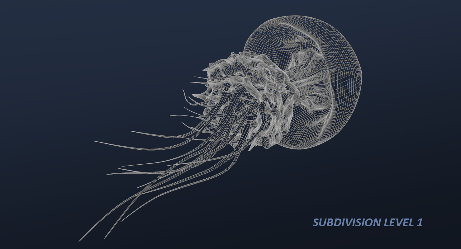 水母动物模型3d模型