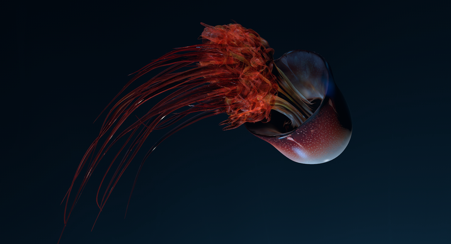 水母动物模型3d模型
