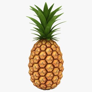 3D realistic pineapple