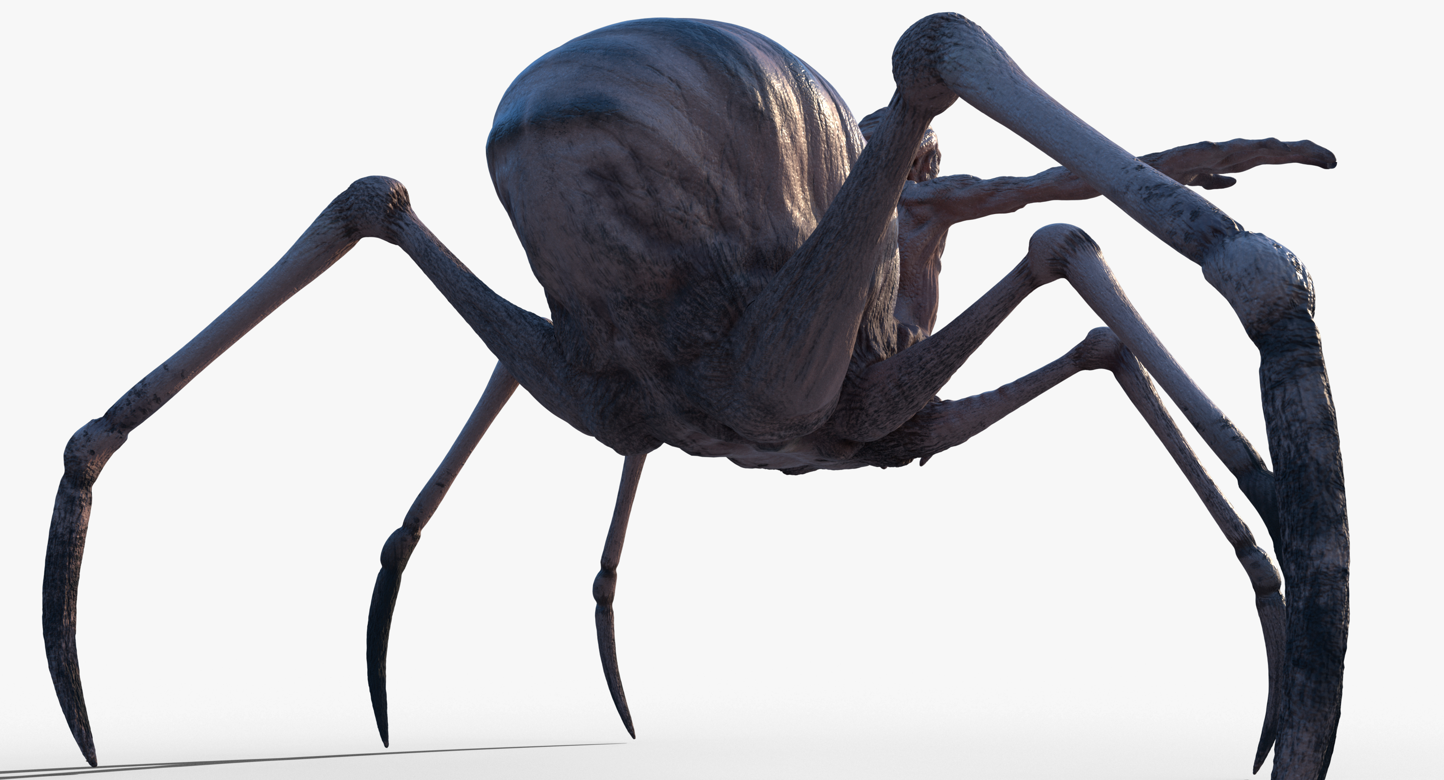 3D spider character - TurboSquid 1262620