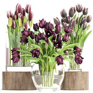 bouquet tulips 3 pieces 3D model
