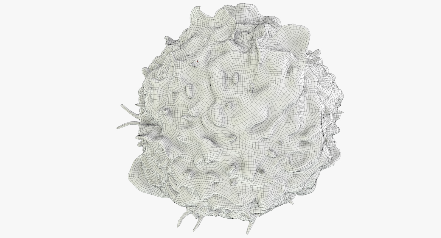 白血细胞3d模型