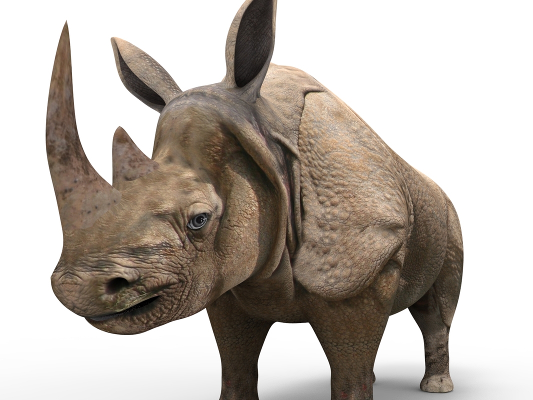 Rhinoceros 3D 7.31.23166.15001 for apple download