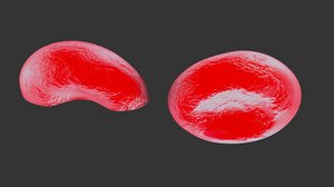 red blood erythrocytes 3D model