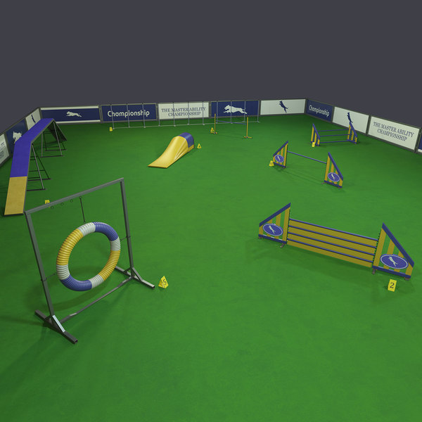 dog agility kits