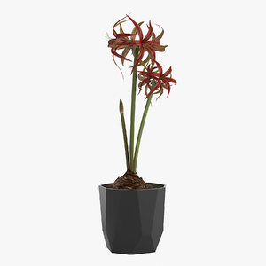flower amaryllis flowerpot elho 3D model