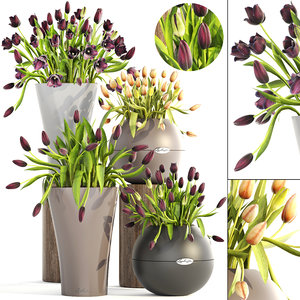 tulips pots 3D model