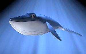 3D cartoon whale