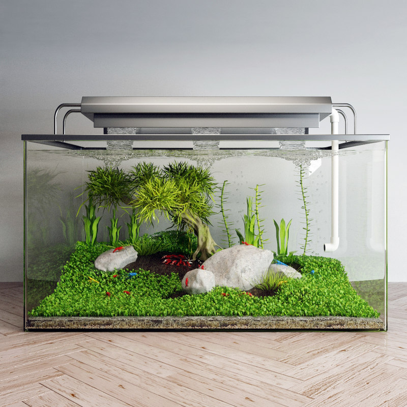 3D model  aquarium  TurboSquid 1266435