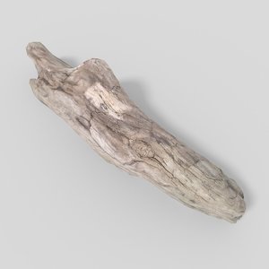 3D model driftwood pbr