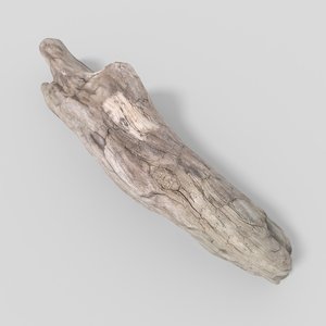 3D driftwood pbr