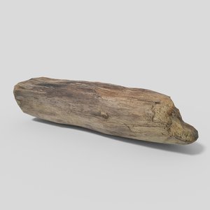 driftwood 05 3D model