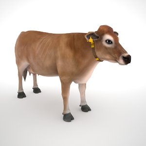 jersey cow 3D model