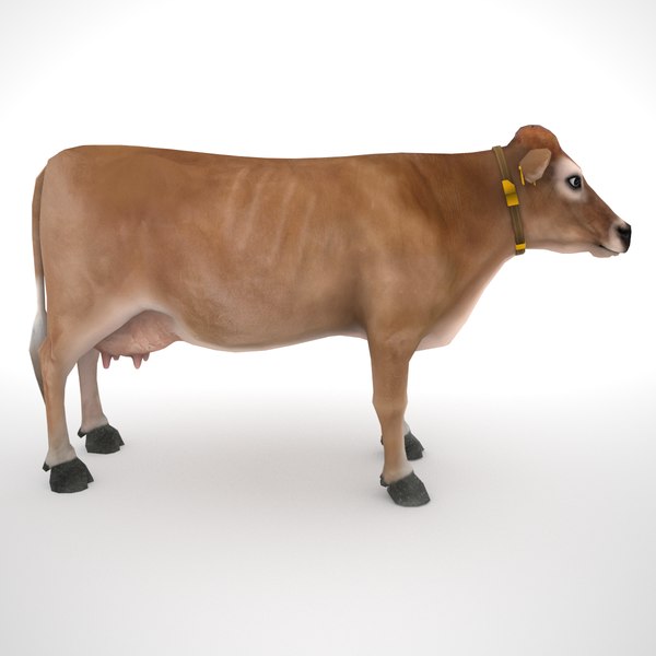 jersey cow toy