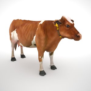 3D model fleckvieh cow