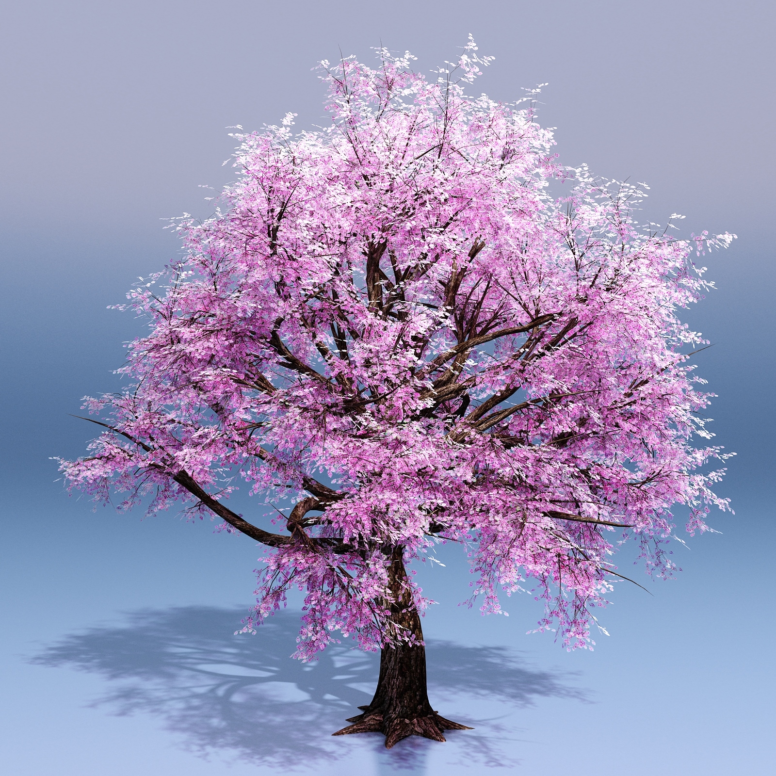 3D cherry blossom tree - TurboSquid 1268843