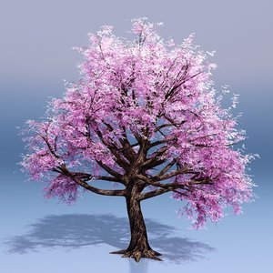 3D cherry blossom tree