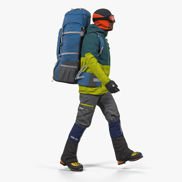 traveler backpack