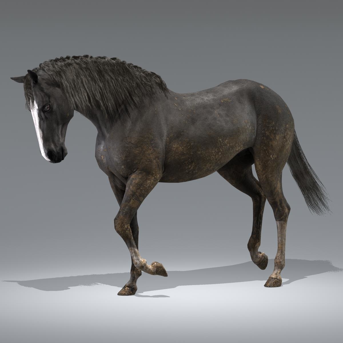 Realistic horse rigged 3D model TurboSquid 1269247