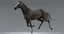 realistic horse animation model