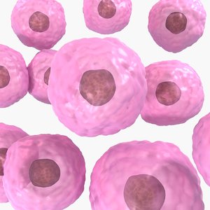 3D cell medical animation model