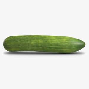 3D model cucumber 2