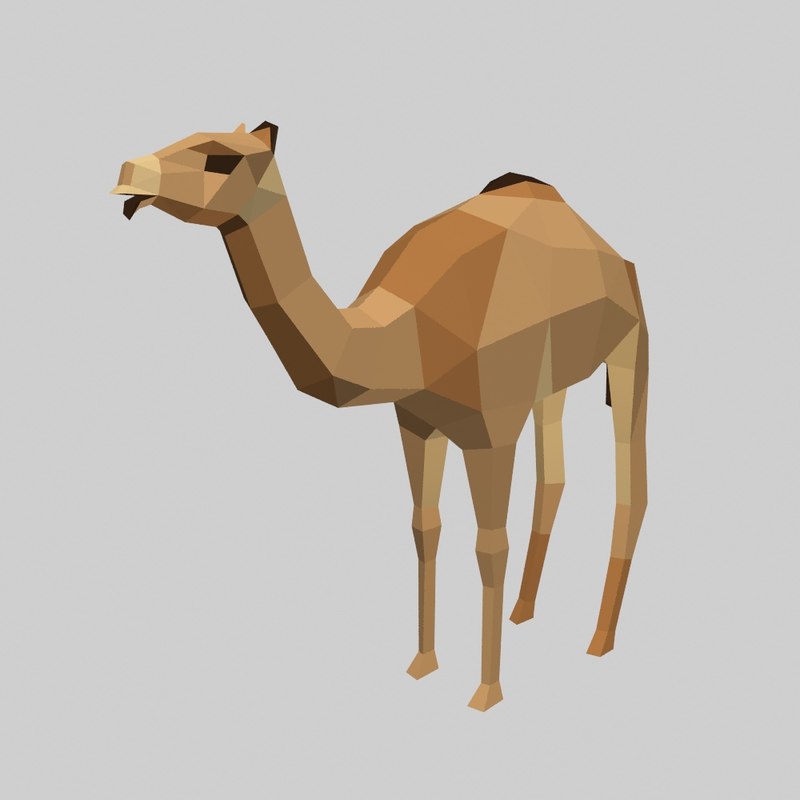 3D camel model - TurboSquid 1270044