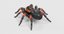 3D mexican redknee tarantula