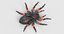 3D mexican redknee tarantula