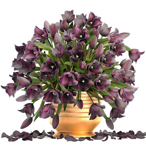 3D bouquet tulips model