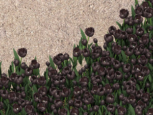 bed black tulips 3D model