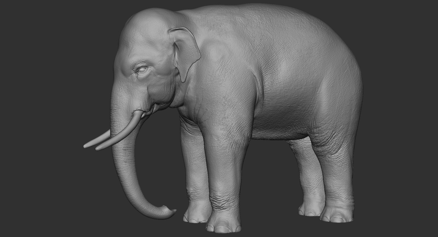 Realistic Elephant Model Turbosquid 1271157