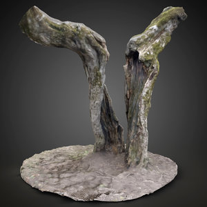 tree scanned 3D