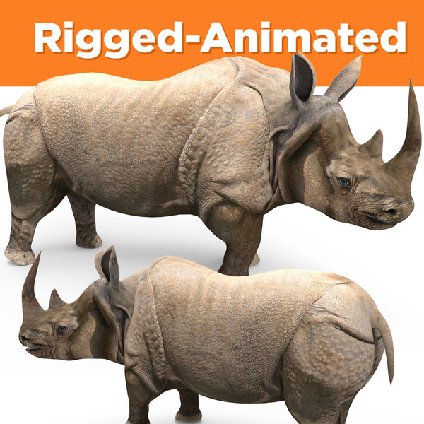 rhinoceros 3d software