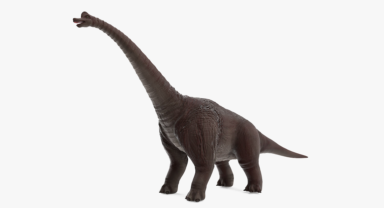 brachiosaurus 3d view