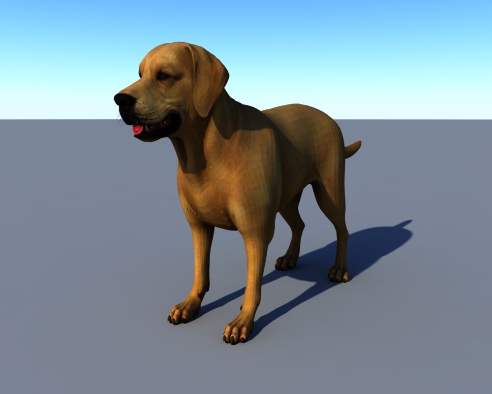 Dog 3D - TurboSquid 1272371