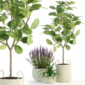 plants 87 3D model