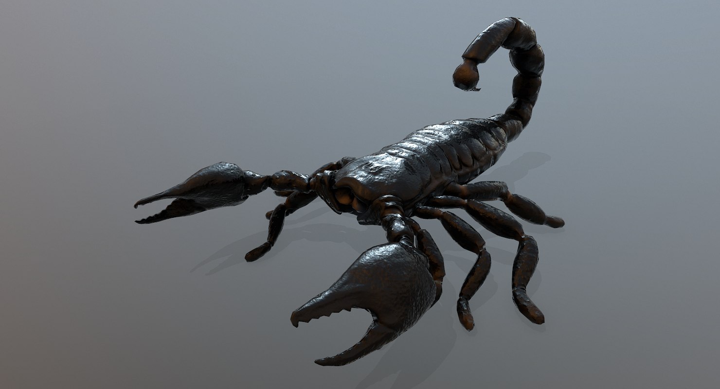3d model black scorpion https://static.turbosquid.