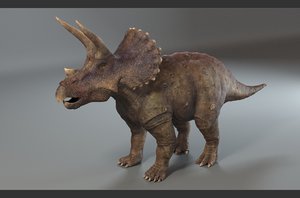 triceratops model